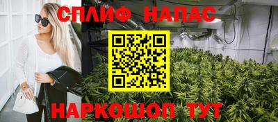 кокс Пугачёв
