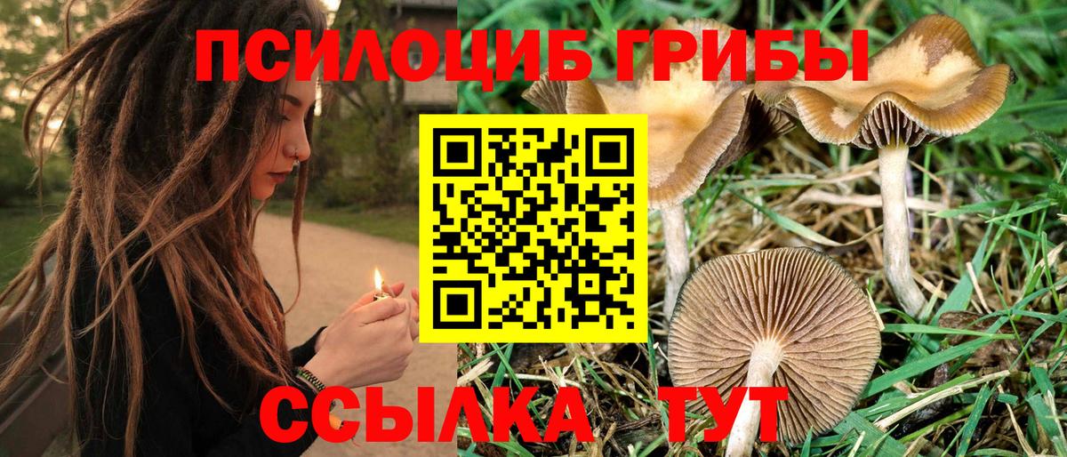 Черемхово  Псилоцибиновые грибы ЛСД  Вход с VPN 