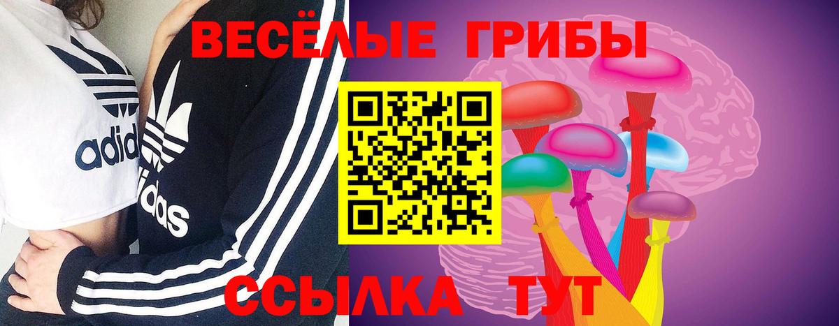 Галлюциногенные грибы GOLDEN TEACHER Черемхово