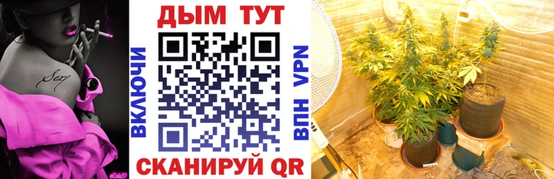 мориарти состав Черемхово Канабис план